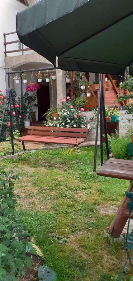 Vila Nik Buşteni Rom bilde